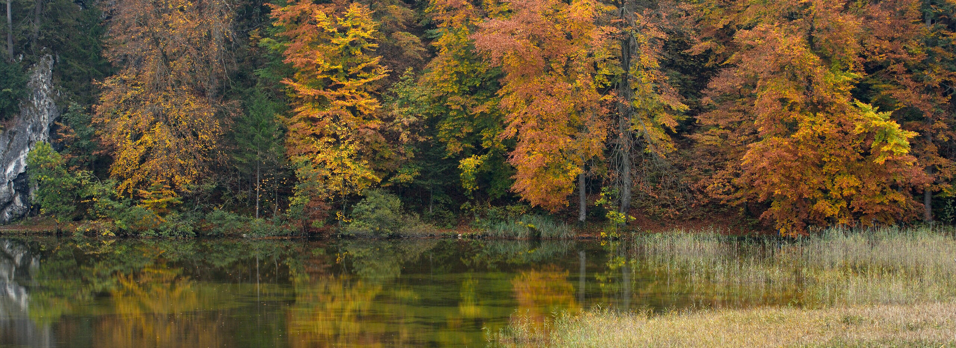 Man blickt auf einen kleinen See, der von einem Schilfgürtel umrahmt ist. Im Hintergrund erhebst sich ein bunter Bergwald. Zwischen den Bäumen zeigt sich der schroffe Feld des Berges. Die Wasseroberfläche ist flach wie ein Spiegel.  